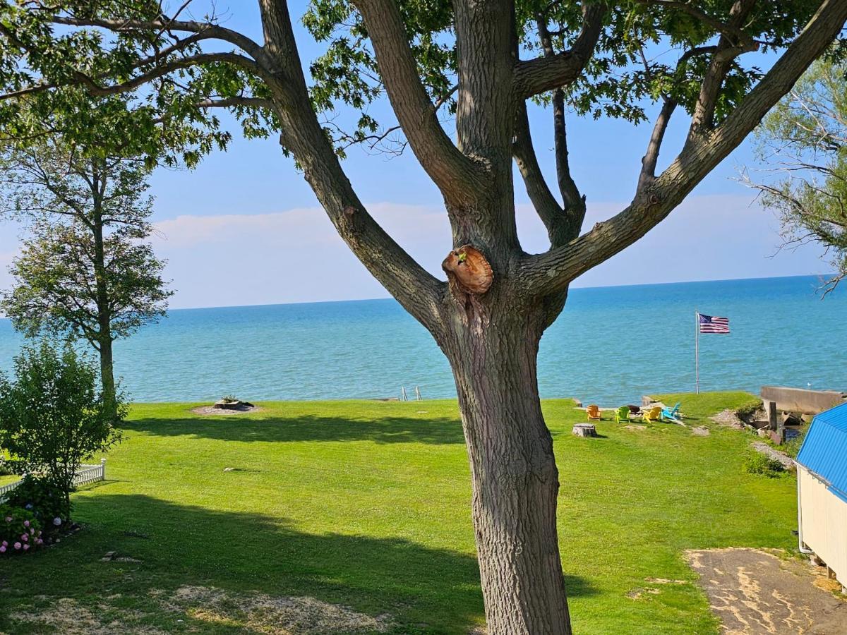 Madison Tree-Top Lake-Front Cottage מראה חיצוני תמונה